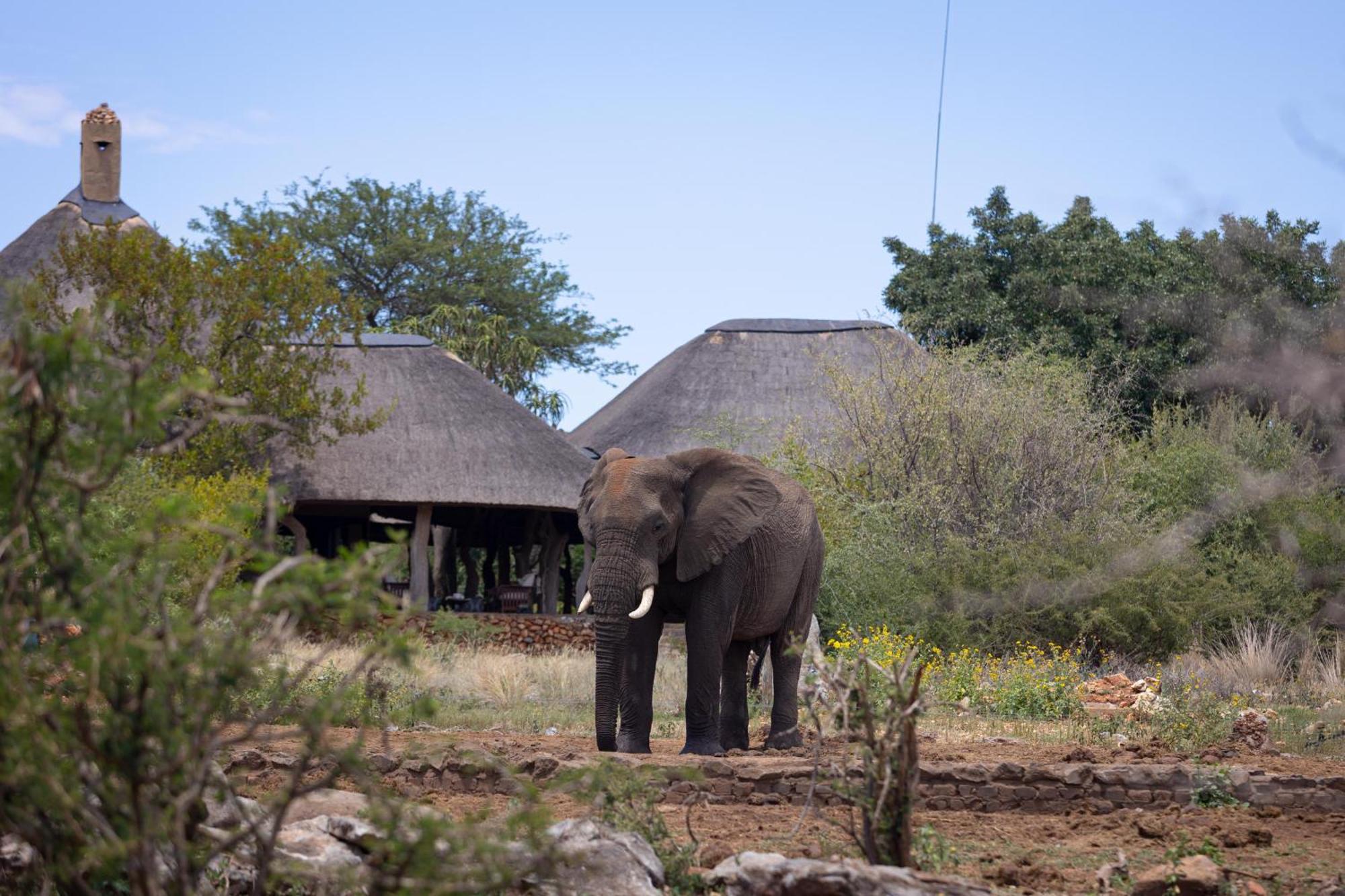 Rhulani Safari Lodge Мадікве-Ґейм-Резерв Екстер'єр фото